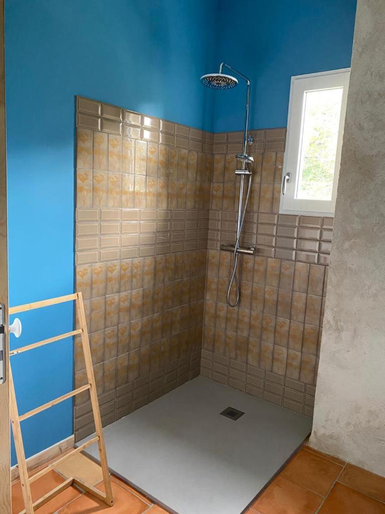 Pujols  Damechouette Bed & Breakfast エクステリア 写真